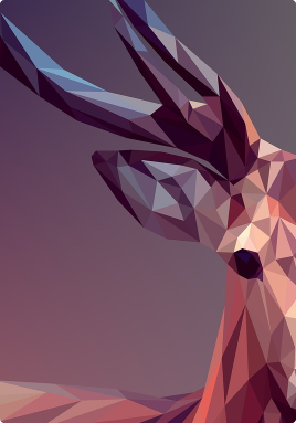 graphics